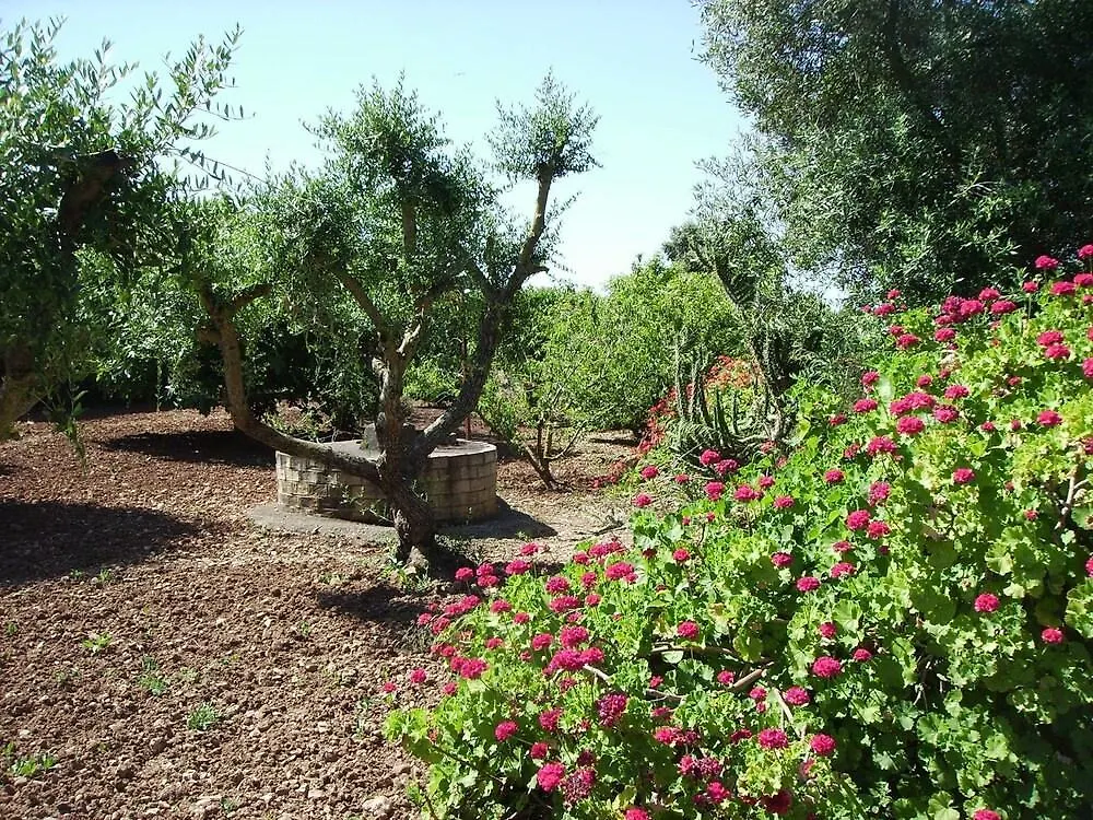 Finca La Luz Bed & Breakfast Carmona   Carmona (Seville)